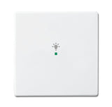 ABB Cover for Free@Home module, ABB Solo series 1gang &quot;Light&quot; icon